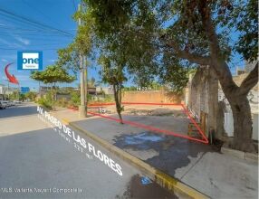 Lote 5 villa las flores